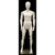 Male White Abstract Posable Mannequin MM-MFXW - Mannequin Mall