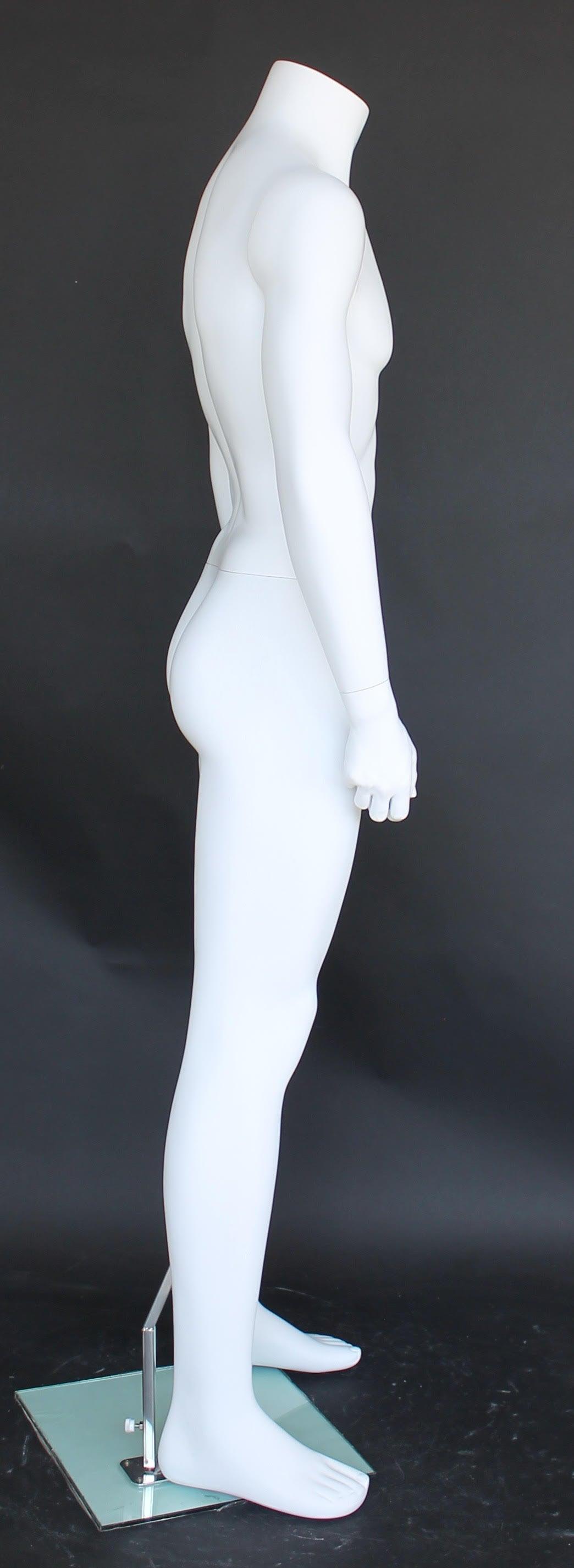 Male Headless Mannequin MM-STM001-WT - Mannequin Mall