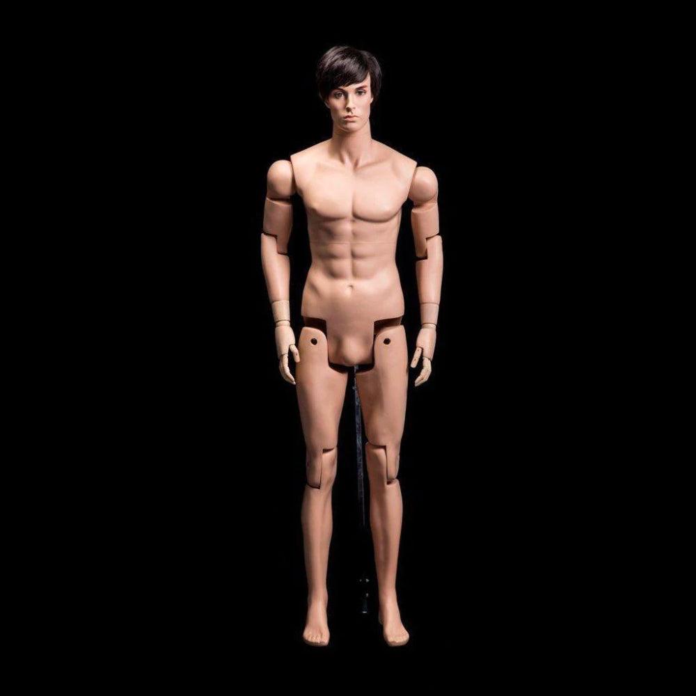 Male Realistic Posable Mannequin with Back Support MM-HM01 - Mannequin Mall