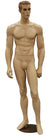 Male Realistic Mannequin MM-CCT6F