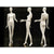 White Female Abstract Mannequin MM-IVY3