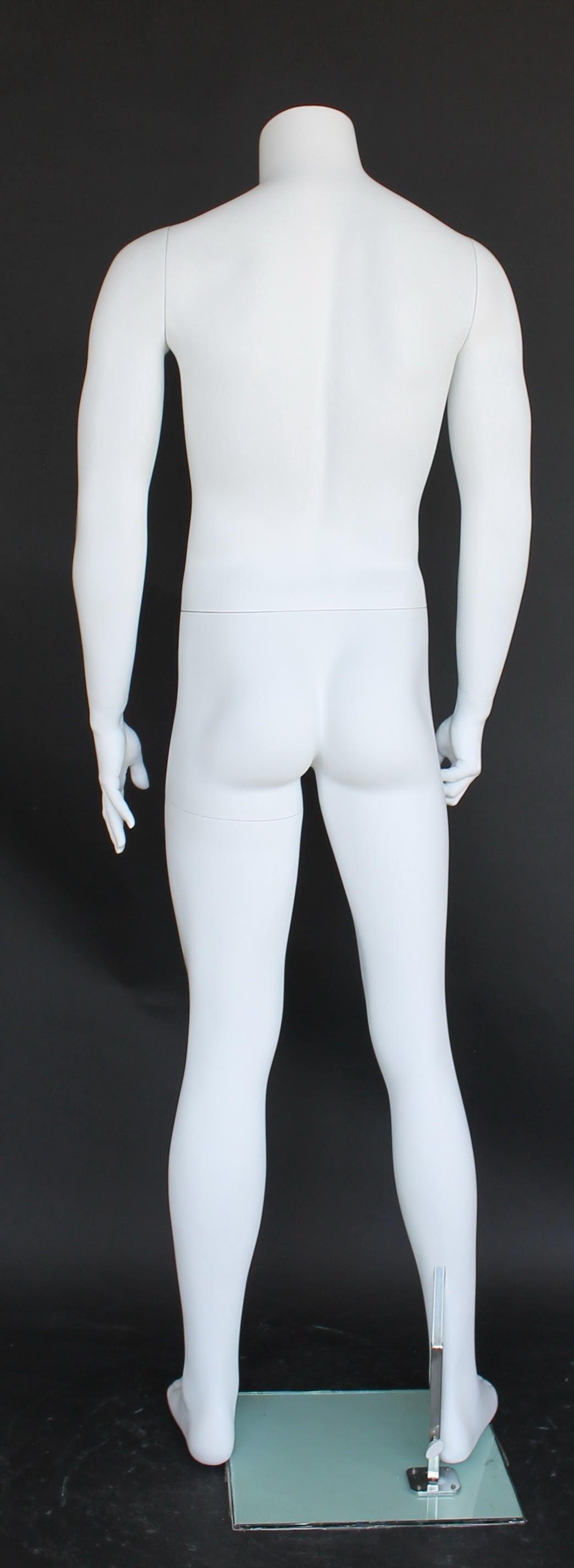 Male Headless Mannequin MM-STM001-WT - Mannequin Mall
